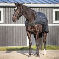 Walker rug Glitter 100gr