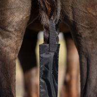 Tail bag with fringes