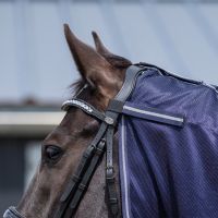 Exercise fly rug with detachable neck
