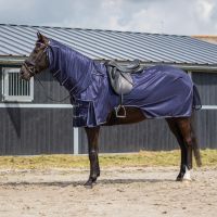 Exercise fly rug with detachable neck
