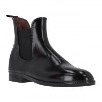 Jodhpur basic Junior