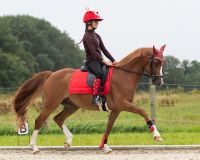 Knee stockings Christmas (2-pack)