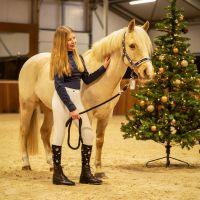 Knee stockings Christmas (2-pack)