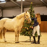 Knee stockings Christmas (2-pack)