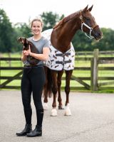 Knee stockings gift box Stable buddy (2-pack)