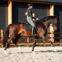 Breeches softshell Emma full grip