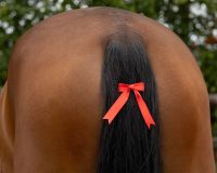 Warning bow