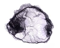 Hair net Cover