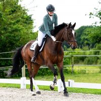 Competition jacket Novèn