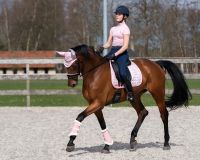 Riding tights Eden full grip