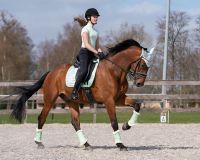 Riding tights Eden full grip