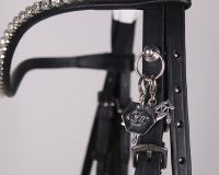 Attachment system for bridle charms
