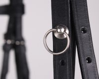 Attachment system for bridle charms