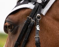 Bridle charms Halloween