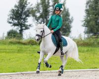 Crown piece accessory Christmas