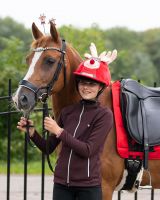 Crown piece accessory Christmas