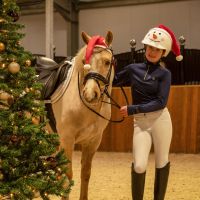 Helmet cover Christmas
