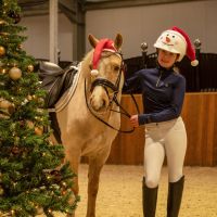 Helmet cover Christmas