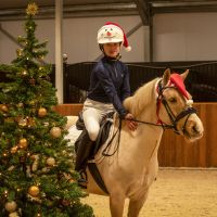 Helmet cover Christmas