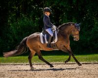 Breeches Kae Junior knee grip