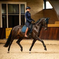 Breeches Lymee softshell full grip