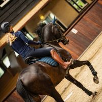 Breeches Lymee softshell full grip