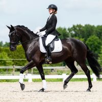 Competition jacket Kynlee