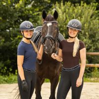 Safety helmet Toledo polo visor