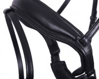 Bridle Selene