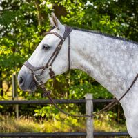 Bridle Devi incl. reins