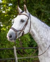 Bridle Devi incl. reins