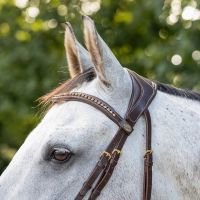 Bridle Devi incl. reins