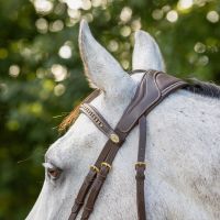 Bridle Devi incl. reins