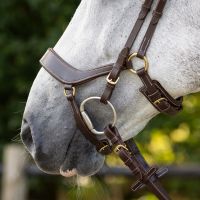 Bridle Devi incl. reins