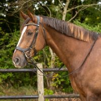 Bridle Devi incl. reins