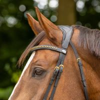 Bridle Devi incl. reins