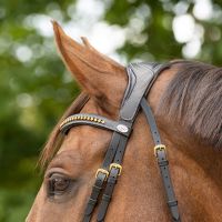 Bridle Devi incl. reins