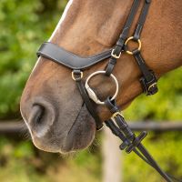 Bridle Devi incl. reins