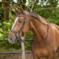 Bridle Devi incl. reins
