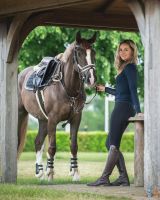 Bridle Ontario incl. reins
