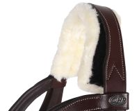 Bridle Ontario incl. reins