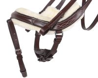 Bridle Ontario incl. reins