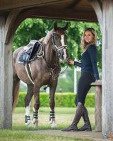 Bridle Ontario incl. reins