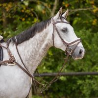 Bridle Ontario incl. reins