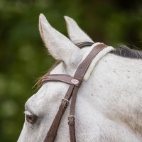 Bridle Ontario incl. reins