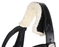 Bridle Ontario incl. reins