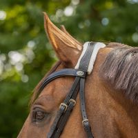 Bridle Ontario incl. reins