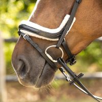 Bridle Ontario incl. reins