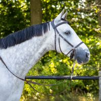 Bitless bridle Ceto incl. reins