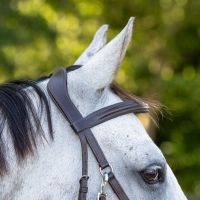 Bitless bridle Ceto incl. reins